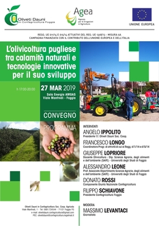 Convegno: L’olivicoltura pugliese