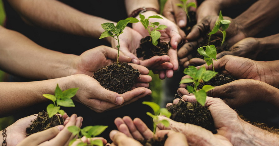 Agricoltura sociale: quarta edizione del bando di confagricoltura e onlus senior, in collaborazione con reale foundation