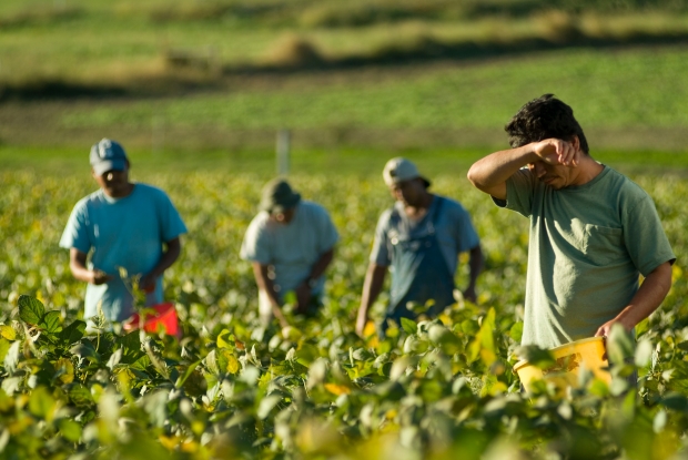 Il gioco del “teatro dell’assurdo” a danno dell’agricoltura della nostra Provincia