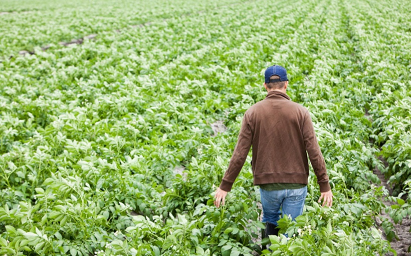 Scade il 31 marzo 2020 il termine per presentare la domanda di indennità di disoccupazione agricola per le giornate relative al 2019