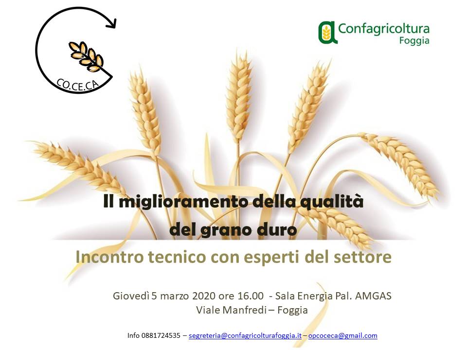 Il miglioramento della qualità del grano duro