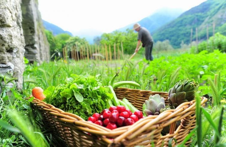 Coronavirus, la Regione da oggi autorizza attività agricola hobbista: ok agli spostamenti