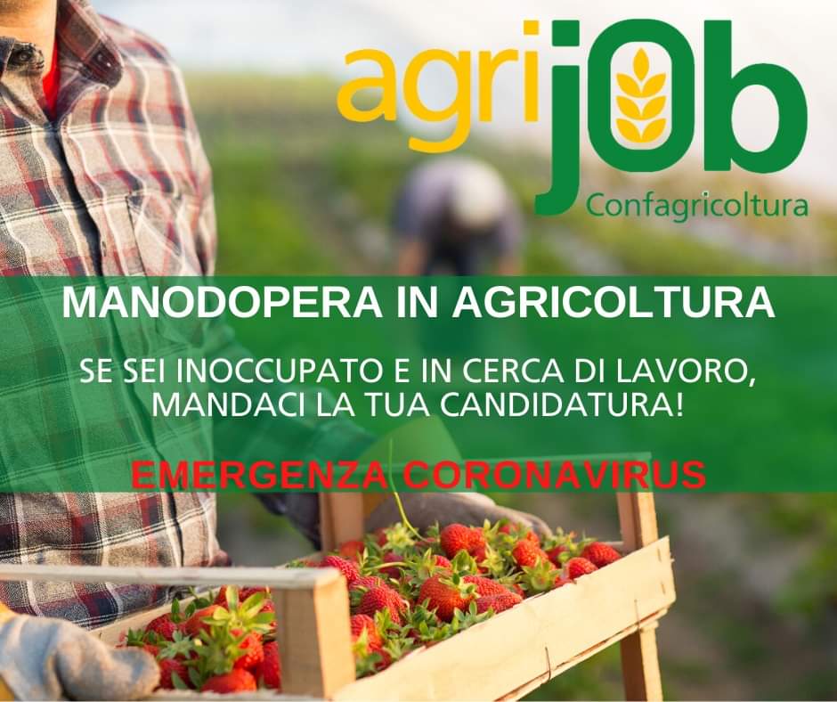 Emergenza manodopera nelle campagne: con “AGRIJOB” Confagricoltura fa incontrare domanda e offerta di lavoro