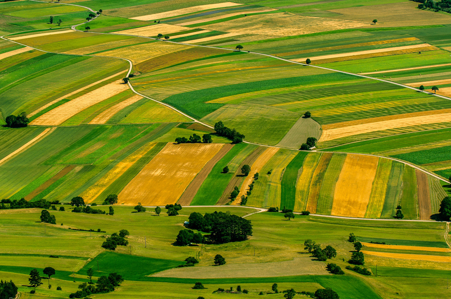 Ritorna la CAMBIALE AGRARIA