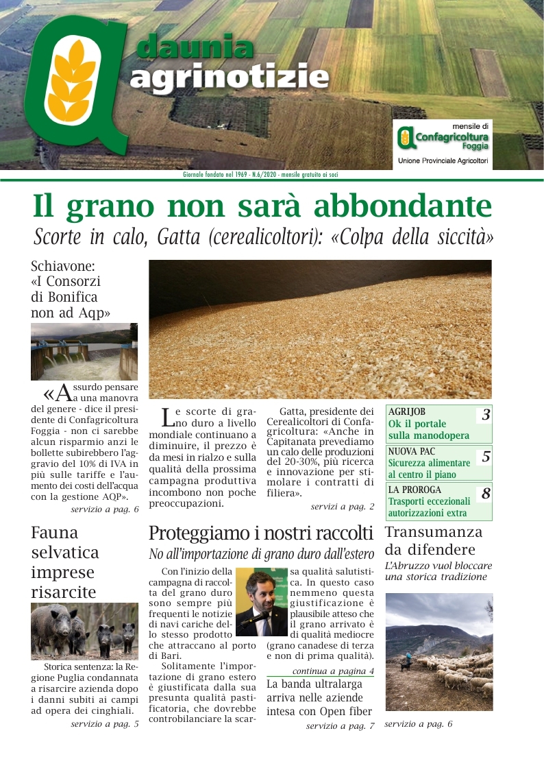 E’ on-line il Daunia Agrinotizie di Giugno