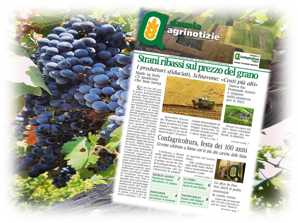 Daunia Agrinotizie di Ottobre