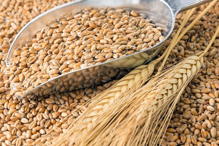 Russia-Ucraina, sale la tensione. Confagricoltura: possibili conseguenze sul mercato mondiale dei cereali, ma l’Europa è al riparo per l’abbondante produzione interna