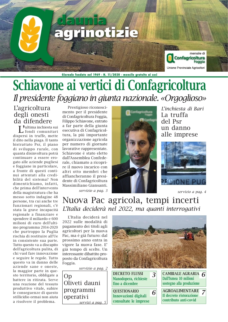 Daunia Agrinotizie novembre