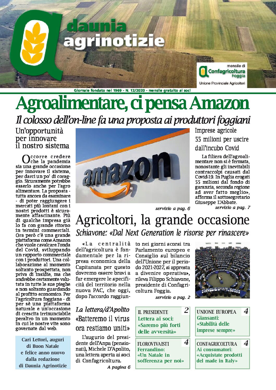 Daunia Agrinotizie di dicembre