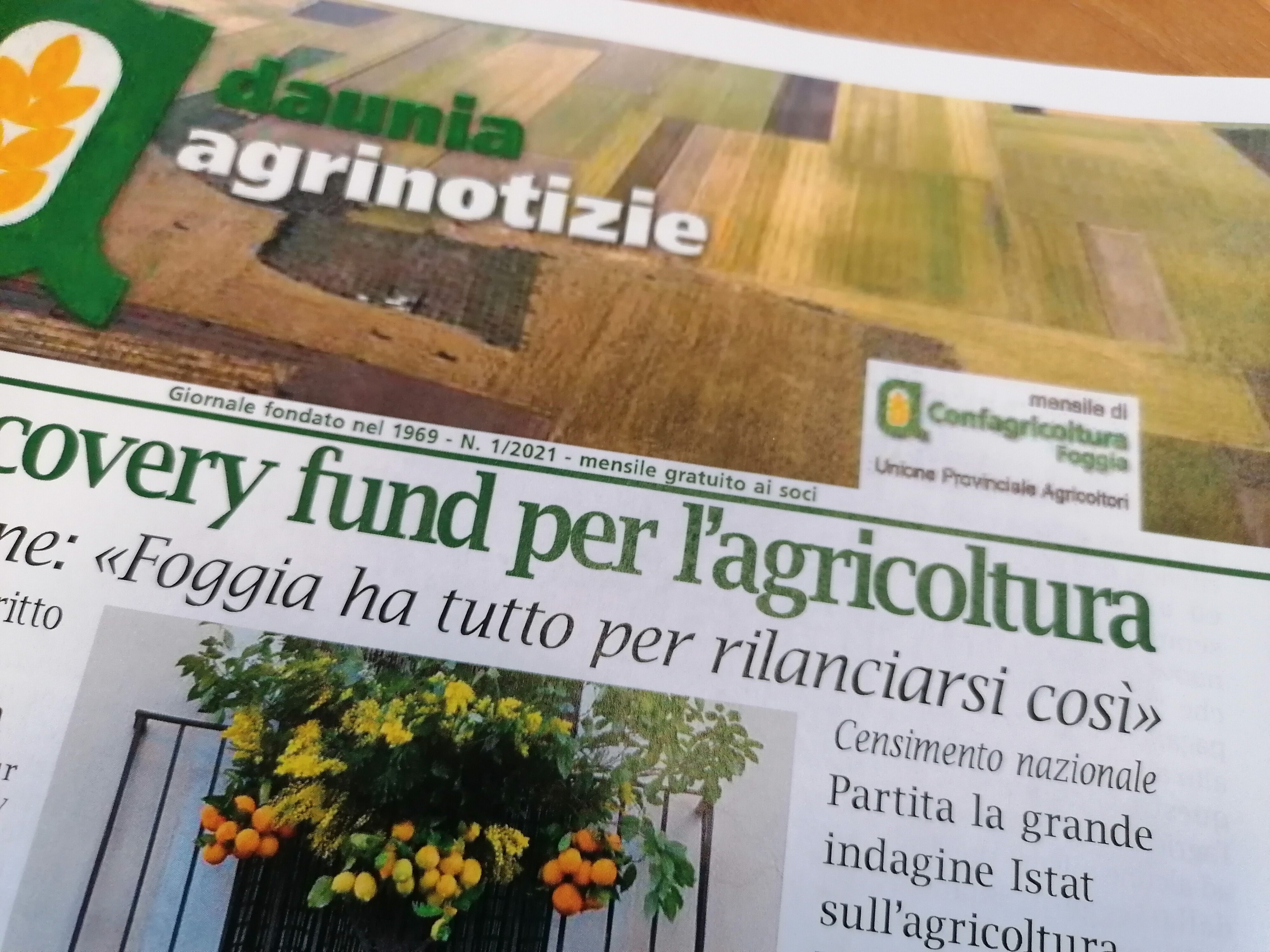 Daunia Agrinotizie Gennaio