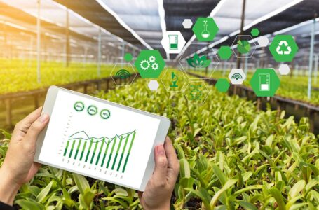 SMARTFARMING