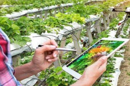 DL SOSTEGNI: CREDITO D’IMPOSTA 4.0, CONTO TERMICO, VERTICAL FARMING, ACCOLTE LE RICHIESTE DI CONFAGRICOLTURA