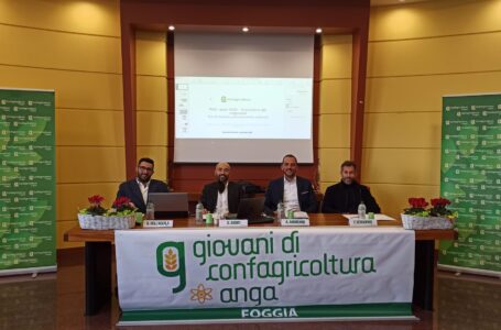 INTERSUD ANGA: Innovazione e formazione per i giovani imprenditori agricoli