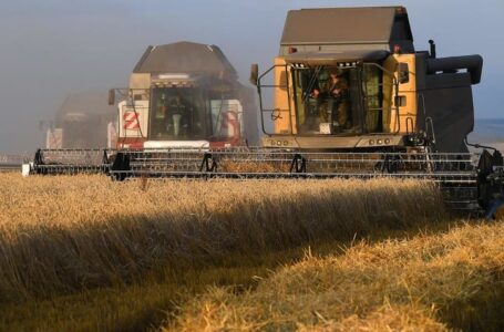 La Russia nel 2022 ridurrà le esportazioni di grano. Confagricoltura: “una opportunità per la cerealicoltura di Capitanata
