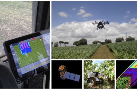 Precision Farming, un nuovo modo di fare agricoltura