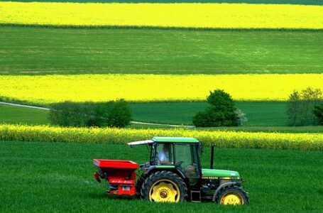DL UCRAINA: DAL GOVERNO UN SEGNALE IMPORTANTE PER LE IMPRESE AGRICOLE IN DIFFICOLTA’