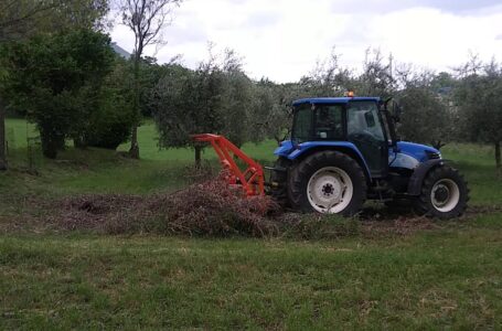 Smaltimento dei residui della  trinciatura, Confagricoltura Foggia chiede apertura tavolo di confronto