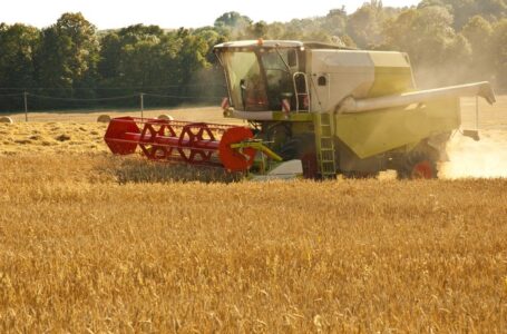Cereali, a Foggia il 18 maggio le prime previsioni sulla campagna di grano duro nel consueto appuntamento dei “Durum Days”