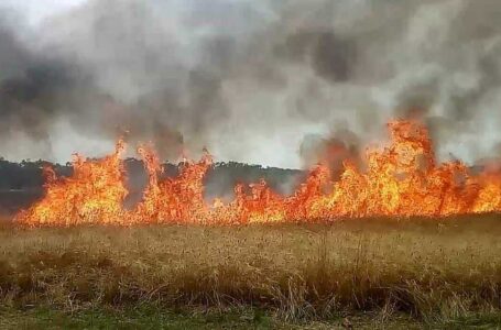 Solidarietà agli imprenditori intimiditi. C’è bisogno di un cambio di mentalità per contrastare tali fenomeni e di un maggior controllo delle campagne