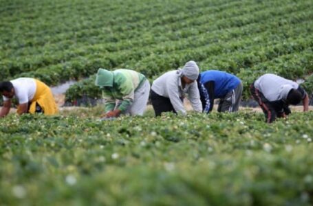 VIETATO LAVORARE NEI CAMPI DALLE 12.30 ALLE 16.00