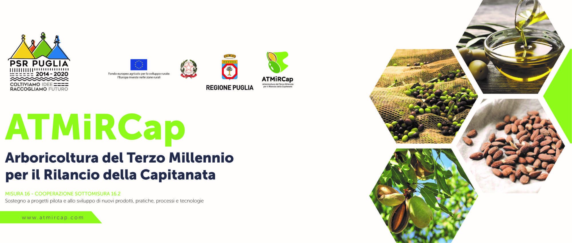 Progetto: ” Arboricoltura del Terzo Millennio per il Rilancio della Capitanata – ATMIRCAP”  –