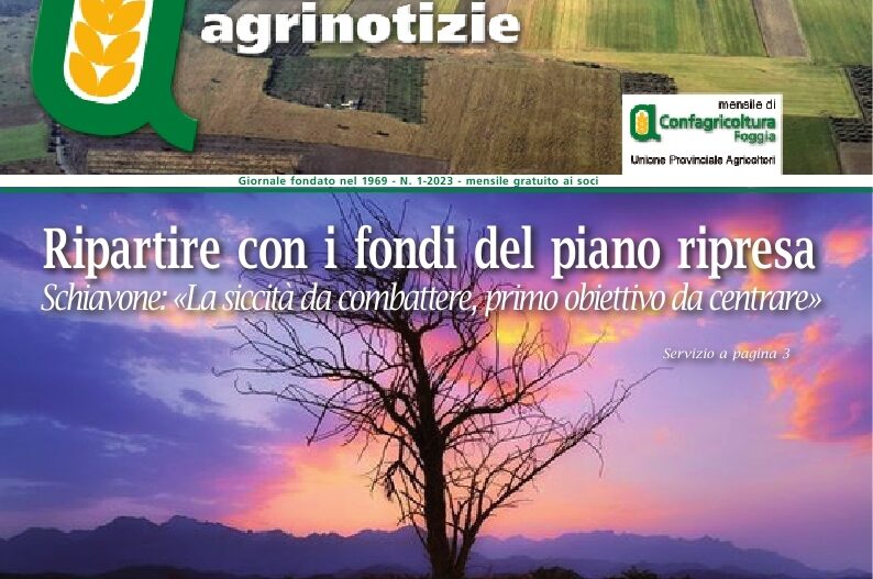 Daunia Agrinotizie Gennaio