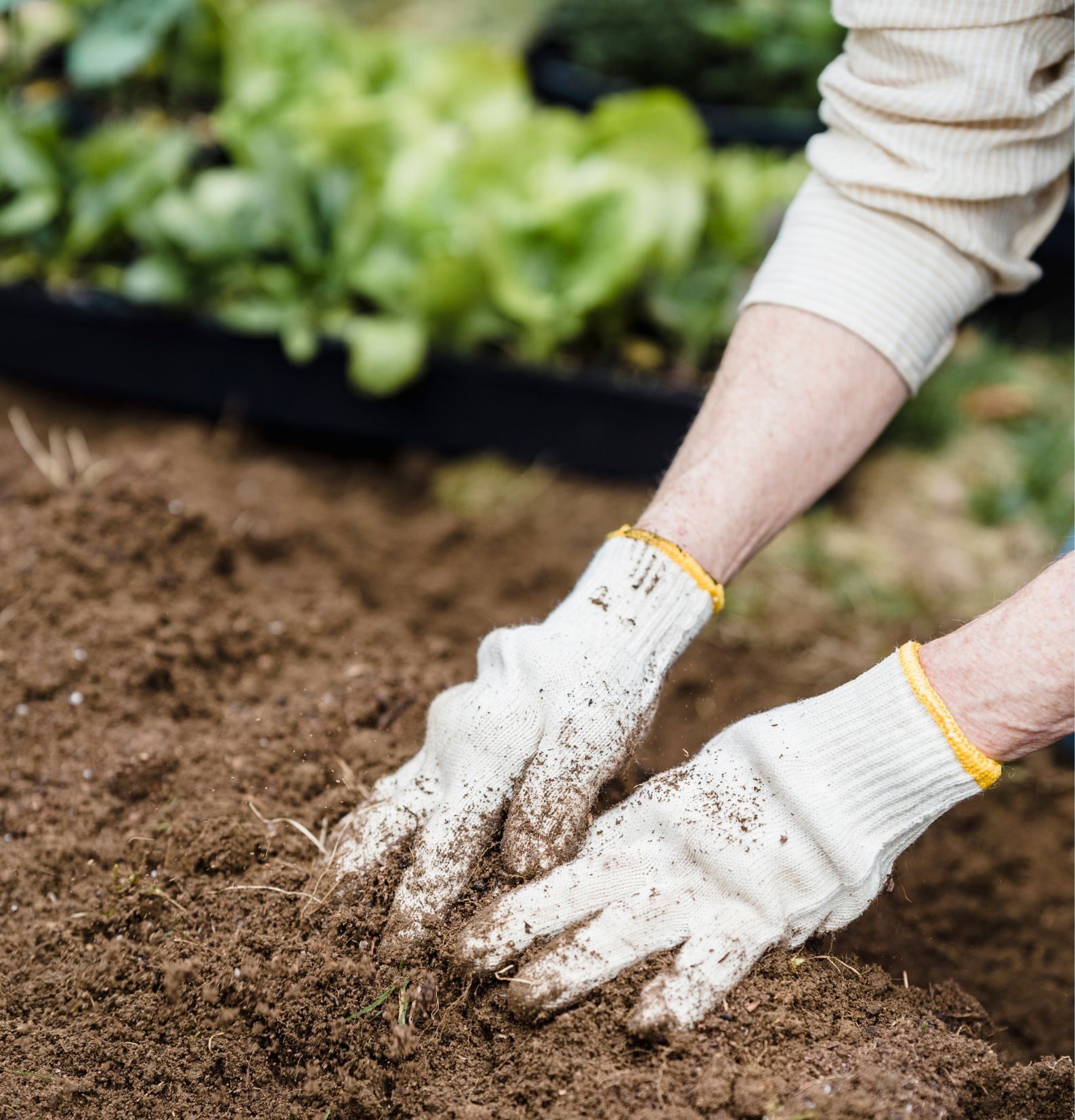 Disoccupazione agricola 2023