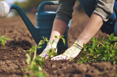 BANDO PER LA DOTAZIONE DI KIT ANTINFORTUNISTICO PER I LAVORATORI AGRICOLI