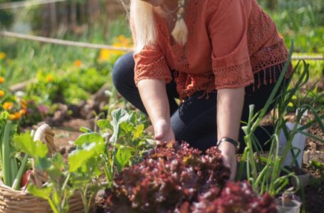 BANDO PER LA DOTAZIONE DI KIT ANTINFORTUNISTICO PER I LAVORATORI AGRICOLI