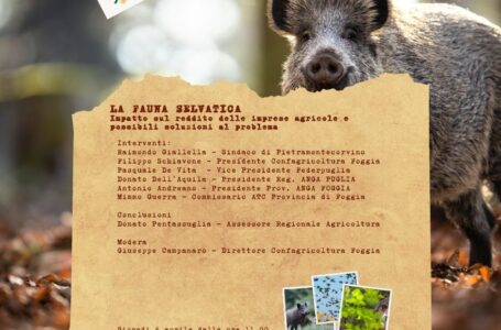 La Fauna Selvatica