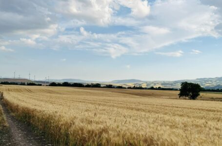 Agricoltura di Capitanata: riconoscere centralità del mondo agricolo