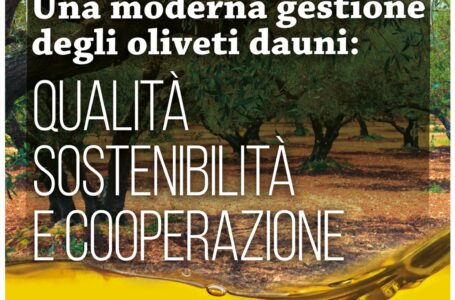 Una moderna gestione degli Oliveti Dauni