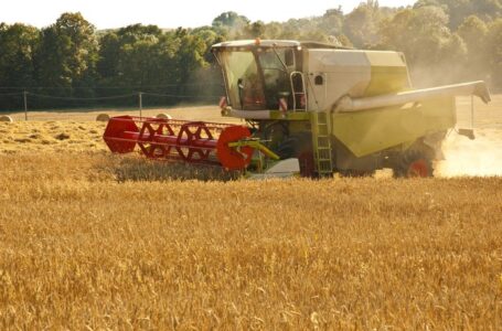 Il conferimento alle Organizzazioni di Produttori per incidere positivamente sulle dinamiche di formazione del prezzo del grano duro.