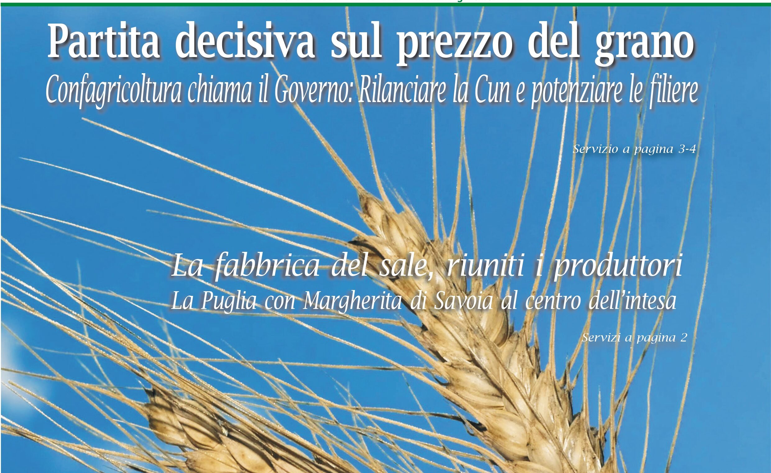 Daunia Agrinotizie ottobre