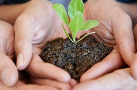 Daunia Agrinotizie di Novembre