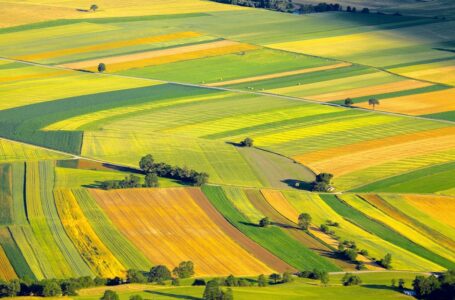 CONFAGRICOLTURA A BRUXELLES PER PORTARE LE ISTANZE DEGLI AGRICOLTORI NELLE SEDI COMPETENTI