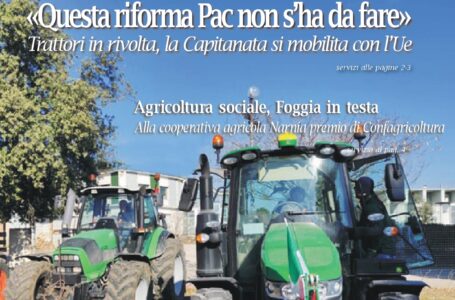 Daunia Agrinotizie di febbraio