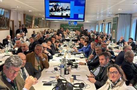 ASSEMBLEA A BRUXELLES: CONFAGRICOLTURA PRESENTA DOCUMENTO ALLE ISTITUZIONI EUROPEE PER CAMBIARE LA PAC