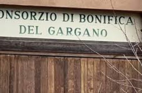 Consorzio di Bonifica del Gargano: Le associzioni agricole e dei lavoratori chiedono le dimissioni del CdA  e nuove elezioni