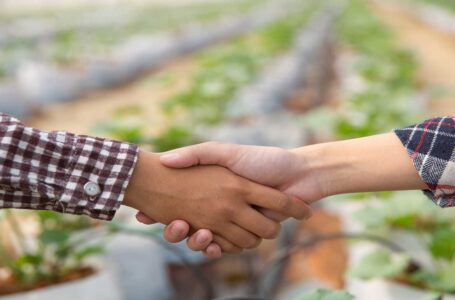 Obbligo di PEC personale per gli amministratori di società