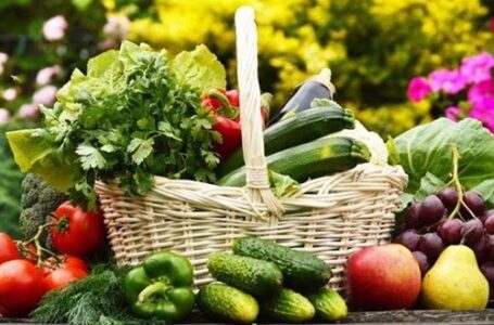 Successo per il workshop “Filiera corta, sicurezza alimentare e sostenibilità”. Partecipazione attiva e proposte concrete per il futuro del sistema produttivo locale