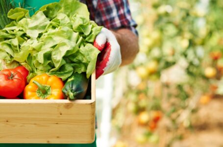 Sviluppo delle reti di mercati locali a filiera corta