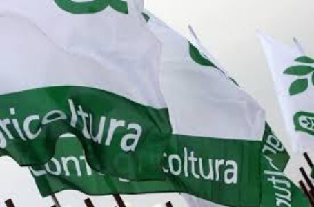 La crisi congiunturale mette a rischio il futuro del settore primario. Comprensibile la discesa in piazza degli agricoltori esasperati